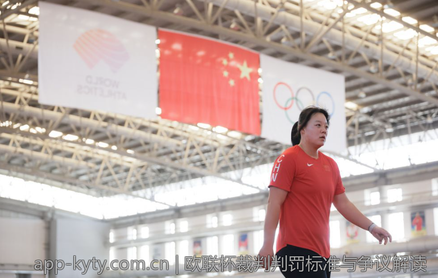 欧联杯裁判判罚标准与争议解读
