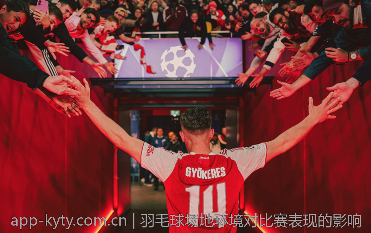 羽毛球场地环境对比赛表现的影响